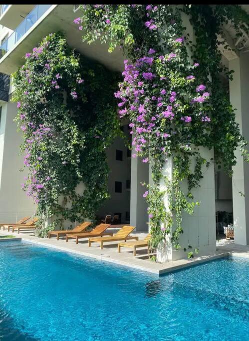 Charming Zen-Style Beach Apartment At Punta Caelo San Carlos Dış mekan fotoğraf